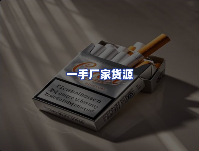 专业团队